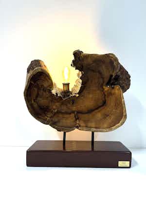 LAMPADA  N° 20