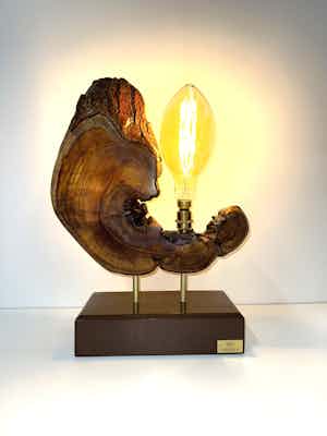 LAMPADA N° 24