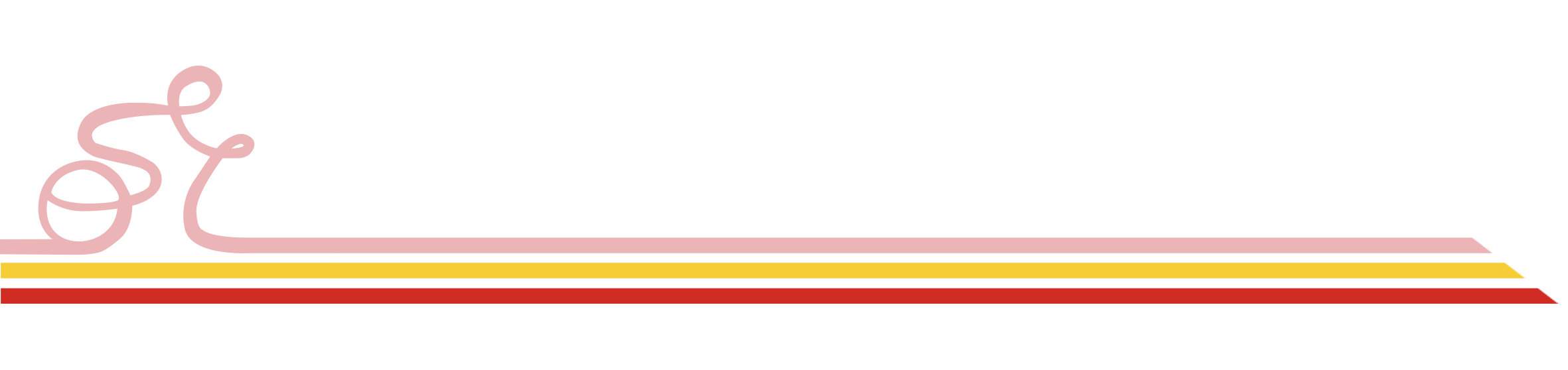 Biomeccanico del Ciclismo