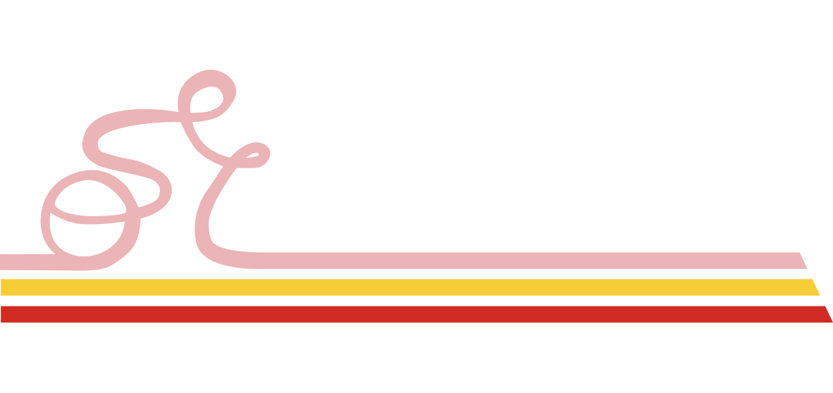 Biomeccanico del Ciclismo