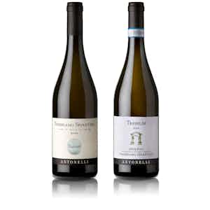 Baiocco Sangiovese Umbria igt