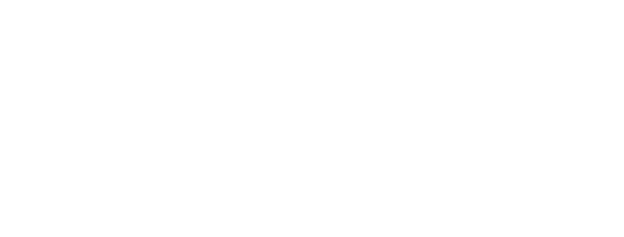 NEW MULTYLEX